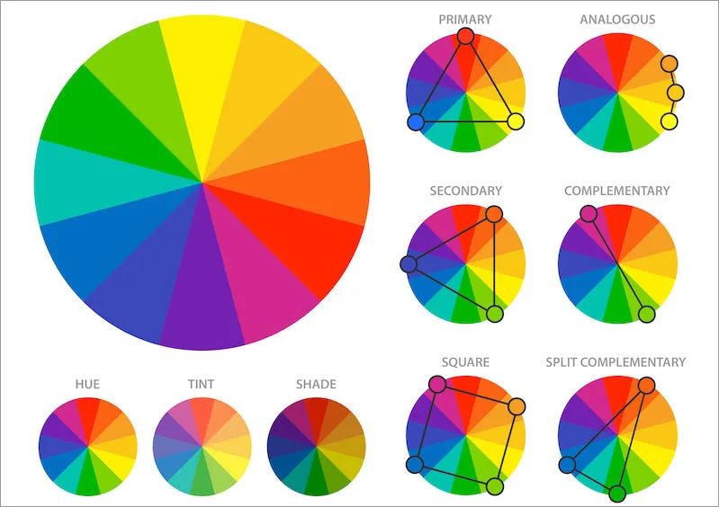 Learn the basics of Colour Theory